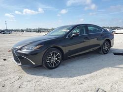 Lots with Bids for sale at auction: 2023 Lexus ES 350 Base