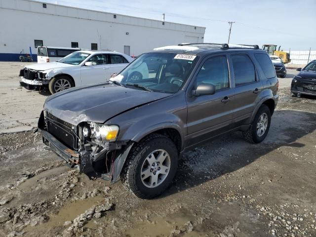 2005 Ford Escape Limited