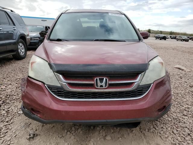 2010 Honda CR-V EXL