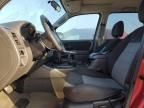 2007 Ford Escape XLT