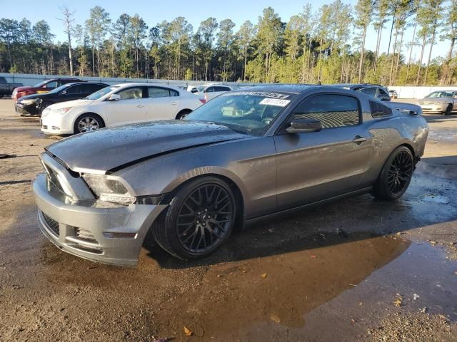 2013 Ford Mustang