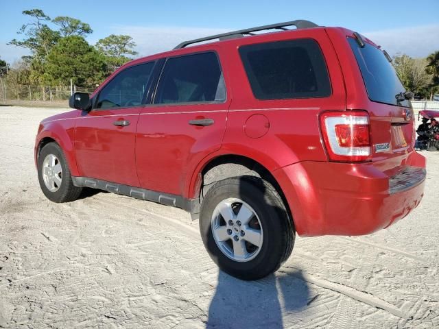 2011 Ford Escape XLS