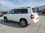 2006 Toyota Highlander Hybrid