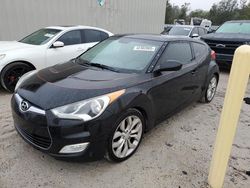 Salvage cars for sale at Apopka, FL auction: 2012 Hyundai Veloster