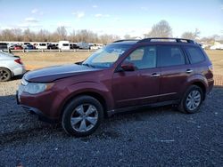 Salvage cars for sale at auction: 2012 Subaru Forester Limited