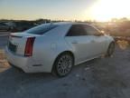 2010 Cadillac CTS Premium Collection