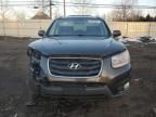 2010 Hyundai Santa FE SE