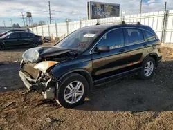 Salvage cars for sale at Chicago Heights, IL auction: 2010 Honda CR-V EX