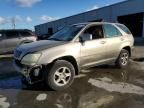 2003 Lexus RX 300