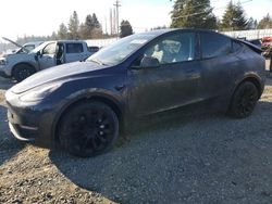 Tesla Vehiculos salvage en venta: 2024 Tesla Model Y