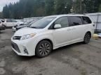 2019 Toyota Sienna XLE