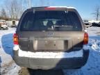 2007 Ford Escape XLT