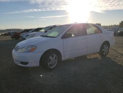 Salvage cars for sale from Copart Antelope, CA: 2004 Toyota Corolla CE