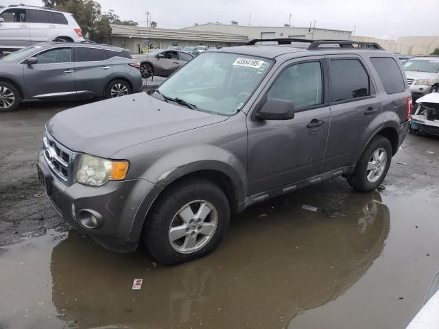 2011 Ford Escape XLT