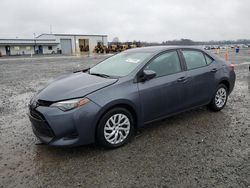 Salvage cars for sale at Lumberton, NC auction: 2019 Toyota Corolla L