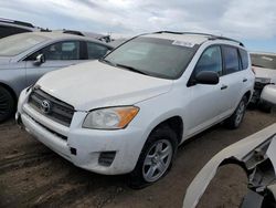 Salvage cars for sale at Brighton, CO auction: 2011 Toyota Rav4