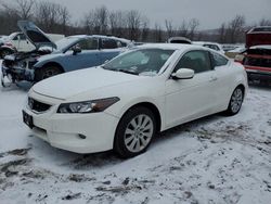 Salvage cars for sale from Copart Marlboro, NY: 2009 Honda Accord EXL