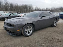 Dodge Challenger salvage cars for sale: 2020 Dodge Challenger SXT