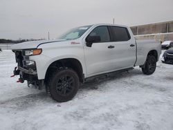 Salvage Cars with No Bids Yet For Sale at auction: 2020 Chevrolet Silverado K1500 Trail Boss Custom