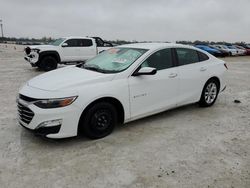 Salvage cars for sale at Arcadia, FL auction: 2019 Chevrolet Malibu LT