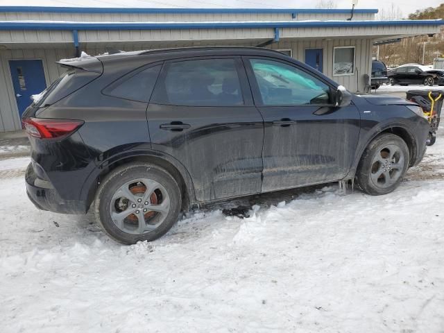 2024 Ford Escape ST Line