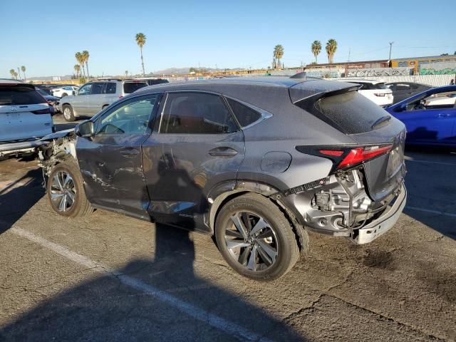 2020 Lexus NX 300H