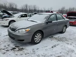 Salvage cars for sale at Marlboro, NY auction: 2004 Toyota Camry LE