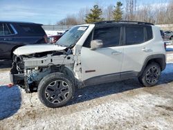 2017 Jeep Renegade Trailhawk en venta en Davison, MI