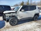 2017 Jeep Renegade Trailhawk