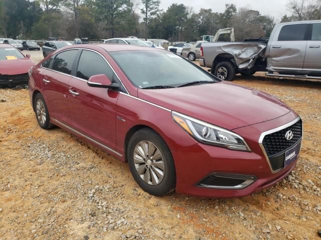 2016 Hyundai Sonata Hybrid