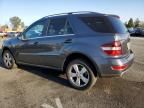 2010 Mercedes-Benz ML 350