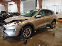 Salvage cars for sale at Lansing, MI auction: 2021 Ford Escape SE