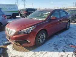 Hyundai Sonata se Vehiculos salvage en venta: 2016 Hyundai Sonata SE