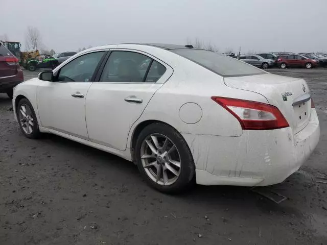 2010 Nissan Maxima S