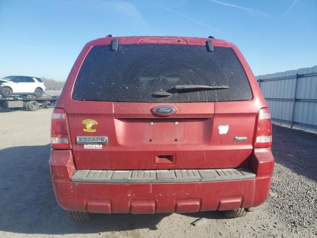 2011 Ford Escape XLT