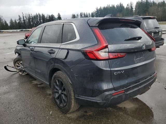 2024 Honda CR-V EXL