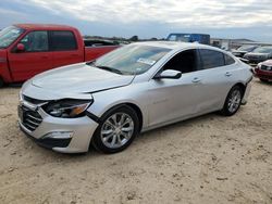 Salvage cars for sale at San Antonio, TX auction: 2019 Chevrolet Malibu LT