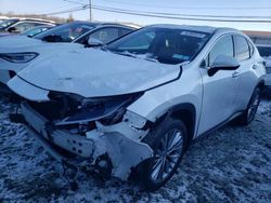 Salvage cars for sale at Windsor, NJ auction: 2022 Lexus NX 350H