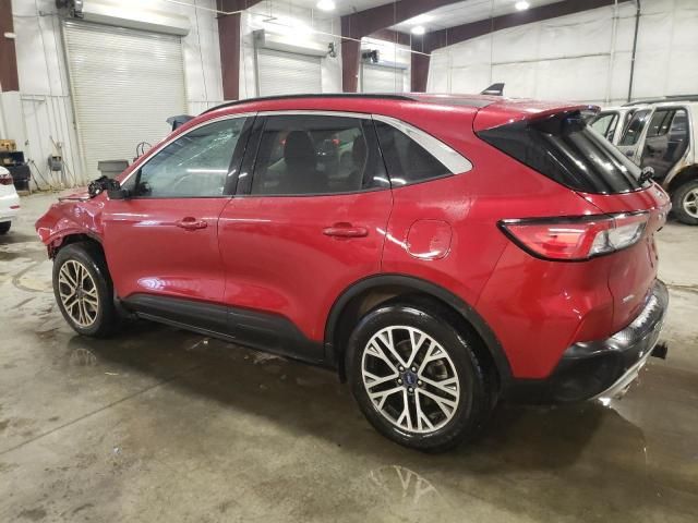 2021 Ford Escape SEL