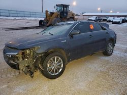 2010 Toyota Camry Hybrid en venta en Rapid City, SD