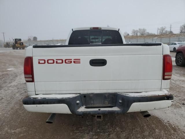 1999 Dodge Dakota