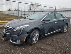 Cadillac xts salvage cars for sale: 2019 Cadillac XTS Luxury