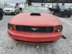 2006 Ford Mustang