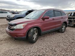 Salvage cars for sale from Copart Phoenix, AZ: 2010 Honda CR-V EXL