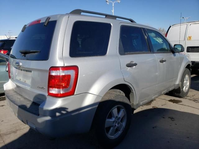 2009 Ford Escape XLT