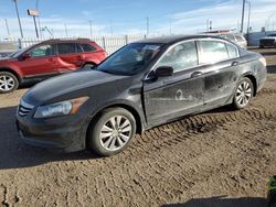 Salvage cars for sale from Copart Greenwood, NE: 2012 Honda Accord EX