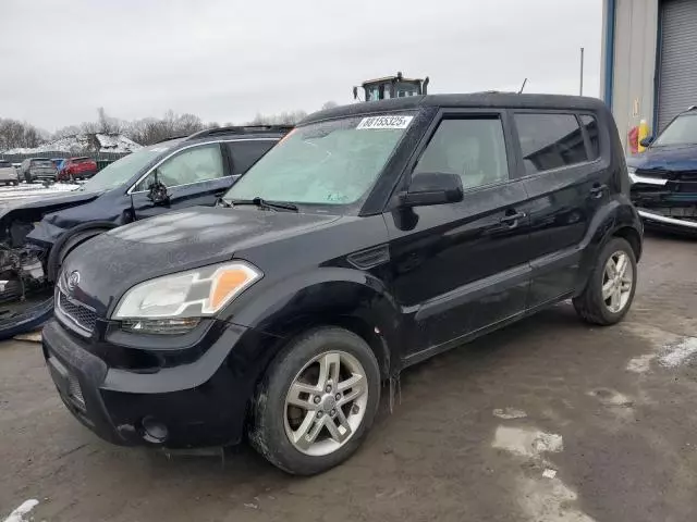 2011 KIA Soul +