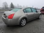 2006 Nissan Maxima SE