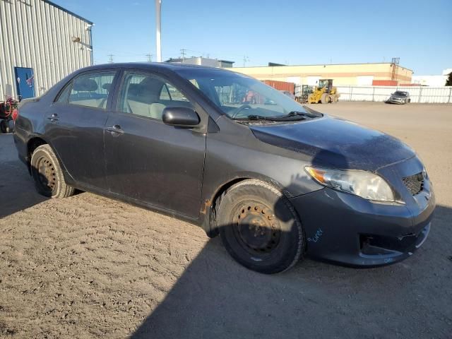 2009 Toyota Corolla Base