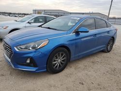 Hyundai Sonata salvage cars for sale: 2019 Hyundai Sonata SE